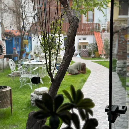 Pergamonpension Homestay *